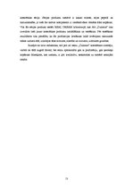 Referāts 'A/s "Dzintars" tirgus analīze', 11.