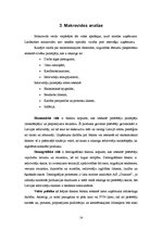 Referāts 'A/s "Dzintars" tirgus analīze', 12.