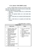 Referāts 'A/s "Dzintars" tirgus analīze', 14.