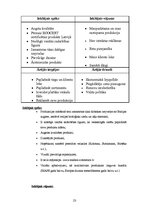 Referāts 'A/s "Dzintars" tirgus analīze', 21.