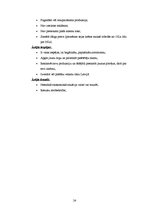 Referāts 'A/s "Dzintars" tirgus analīze', 22.