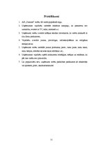 Referāts 'A/s "Dzintars" tirgus analīze', 29.