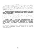 Referāts 'Starptautiskie grāmatvedības standarti', 2.