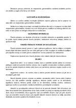 Referāts 'Starptautiskie grāmatvedības standarti', 5.