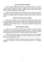 Referāts 'Starptautiskie grāmatvedības standarti', 6.