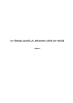 Referāts 'Sistēmiskā domāšana mūsdienu dzīvē un vadībā', 1.