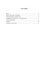 Referāts 'Sistēmiskā domāšana mūsdienu dzīvē un vadībā', 2.