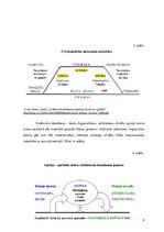 Referāts 'Sistēmiskā domāšana mūsdienu dzīvē un vadībā', 9.