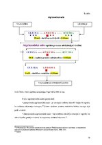 Referāts 'Sistēmiskā domāšana mūsdienu dzīvē un vadībā', 16.