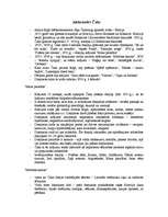 Konspekts 'Aleksandrs Čaks', 1.