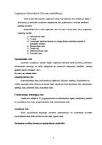 Referāts 'Uzņēmuma Robert Bosch SIA riska analīze', 2.