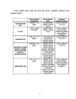 Referāts 'Uzņēmuma Robert Bosch SIA riska analīze', 5.