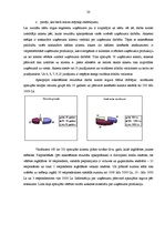 Prakses atskaite 'Atskaite par uzņēmuma SIA "E-Trans" mārketinga vidi', 20.