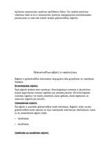 Konspekts 'Grāmatvedība', 8.