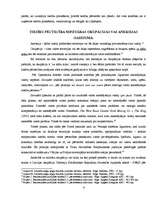 Referāts 'Tiesībpēctecība starptautiskajās tiesībās', 6.