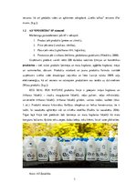 Referāts 'AS "Spodrība" mārketinga elementu izpēte', 3.