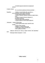 Biznesa plāns 'Biznesa plāns trenažieru zālei', 15.