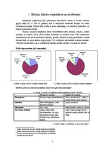 Referāts 'Projekts par inovācijas vadību', 5.