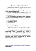 Referāts 'Projekts par inovācijas vadību', 12.