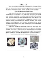 Referāts 'Ūdens - dzīvības eliksīrs', 9.