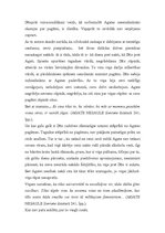 Referāts 'A.Nesaules darbs "Sieviete dzintarā"', 6.