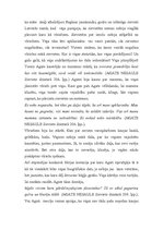 Referāts 'A.Nesaules darbs "Sieviete dzintarā"', 12.