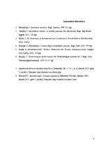 Referāts 'Arhitektūras termini', 6.