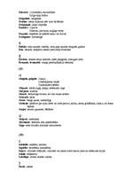 Konspekts 'Vecvārdi', 3.