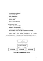 Prakses atskaite 'Prakses atskaite izmitināšanas uzņēmumā', 18.