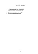 Referāts 'Antuāns de Sent-Ekziperī "Mazais princis"', 8.