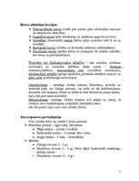 Konspekts 'Bērna attīstības lekciju konspekts', 3.