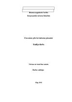 Referāts 'Cesvaines pils kā tūristu piesaiste', 1.