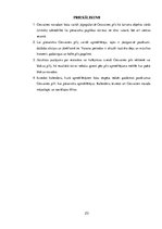 Referāts 'Cesvaines pils kā tūristu piesaiste', 23.