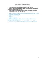 Referāts 'Ziņojumu atbilstība sociāli ekonomiskajiem un vēlētāju psihogrāfiskajiem paramet', 11.