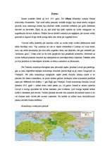 Referāts 'Islāms un sieviete', 3.