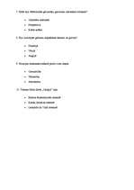 Referāts 'Renesanse ārpus Itālijas', 10.