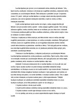 Referāts 'Laulību tiesiskais regulējums Latvijas Republikas likumdošanā', 14.