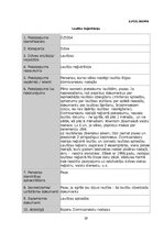 Referāts 'Laulību tiesiskais regulējums Latvijas Republikas likumdošanā', 29.