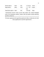 Referāts 'Būvprojekts', 12.