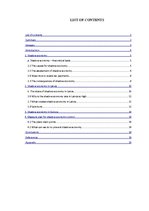 Referāts 'Shadow Economy', 1.