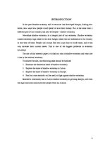 Referāts 'Shadow Economy', 4.