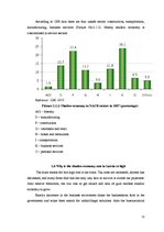 Referāts 'Shadow Economy', 11.