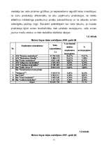 Referāts 'SIA “XXXX” uzņēmuma konkurētspēja tirgū', 11.