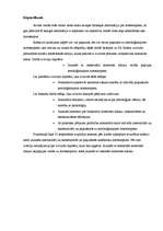 Referāts 'Subjektīvā kontroles lokusa saistība ar indivīda paļaušanos astroloģiskajiem hor', 11.