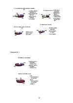 Referāts 'Subjektīvā kontroles lokusa saistība ar indivīda paļaušanos astroloģiskajiem hor', 29.