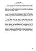 Konspekts 'Cilvēktiesību jēdziens, tā būtība un attīstība', 6.