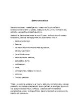 Konspekts 'Konstitucionālā sūdzība', 2.