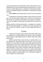 Referāts 'Ugunsdzēsība. Degšanas process, pārtraukšanas (dzēšanas) paņēmieni', 12.