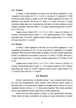 Referāts 'Ugunsdzēsība. Degšanas process, pārtraukšanas (dzēšanas) paņēmieni', 13.