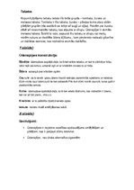 Prezentācija 'Ūdenspīpe', 2.